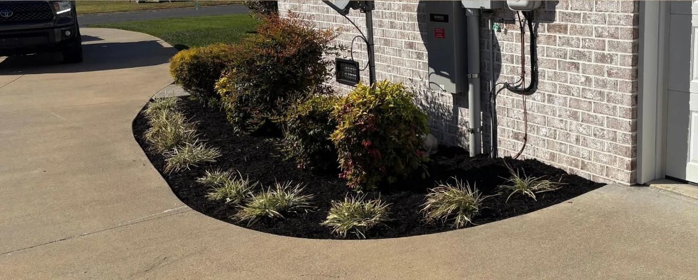 Landscaped corner bed with trimmed shrubs and black mulch beside a brick house and driveway