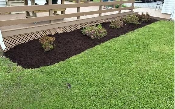 Freshly mulched garden bed with small shrubs beside a green lawn and deck railing