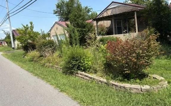 Suburban houses behind a grassy roadside with shrubs and a small fence