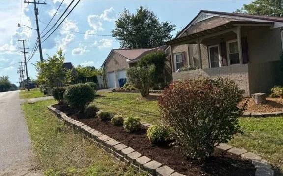 Suburban house front yards with shrubs and a sidewalk along a quiet street under a blue sky