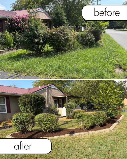 Suburban house with a neatly trimmed lawn, hedges, and a concrete driveway in bright sunlight