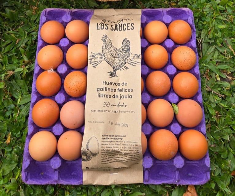 Maples de huevos de gallinas felices