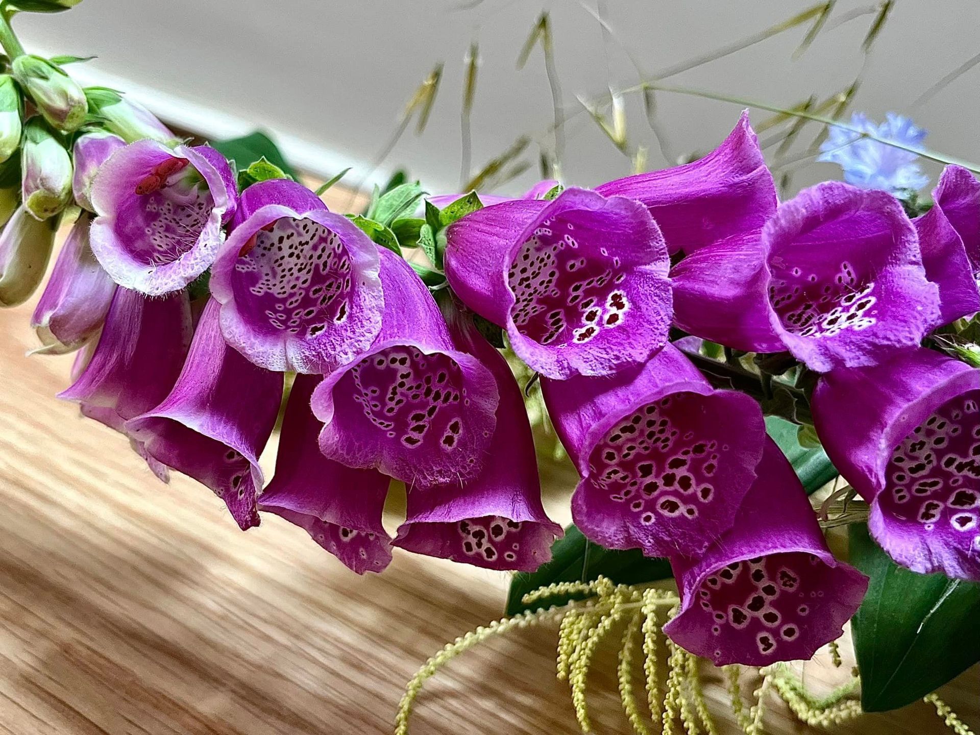 A bunch of purple flowers are sitting on a wooden table.
