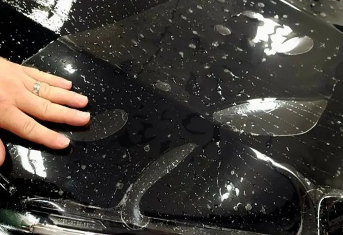 best paint protection film for cars