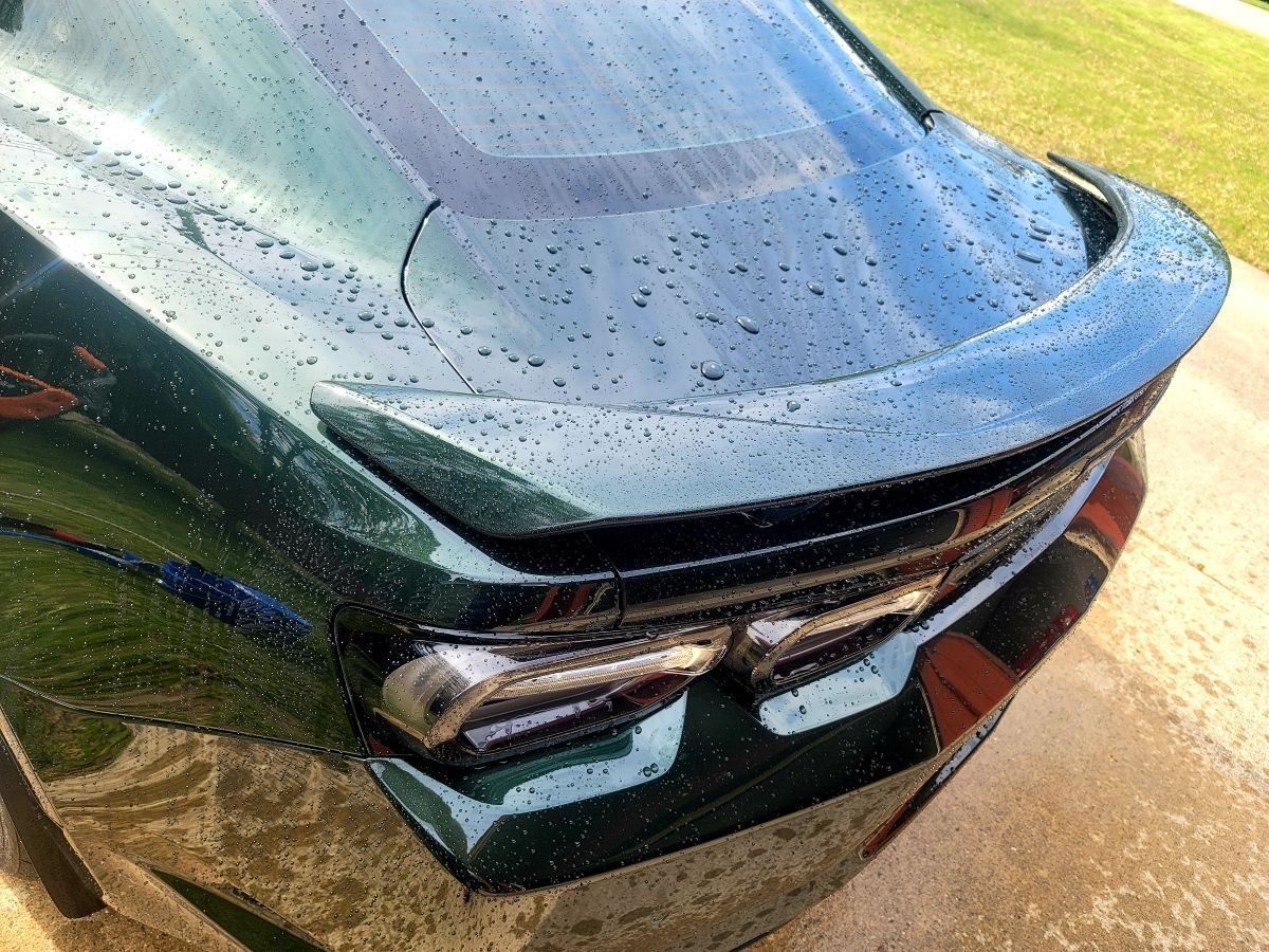paint protection film cleaning