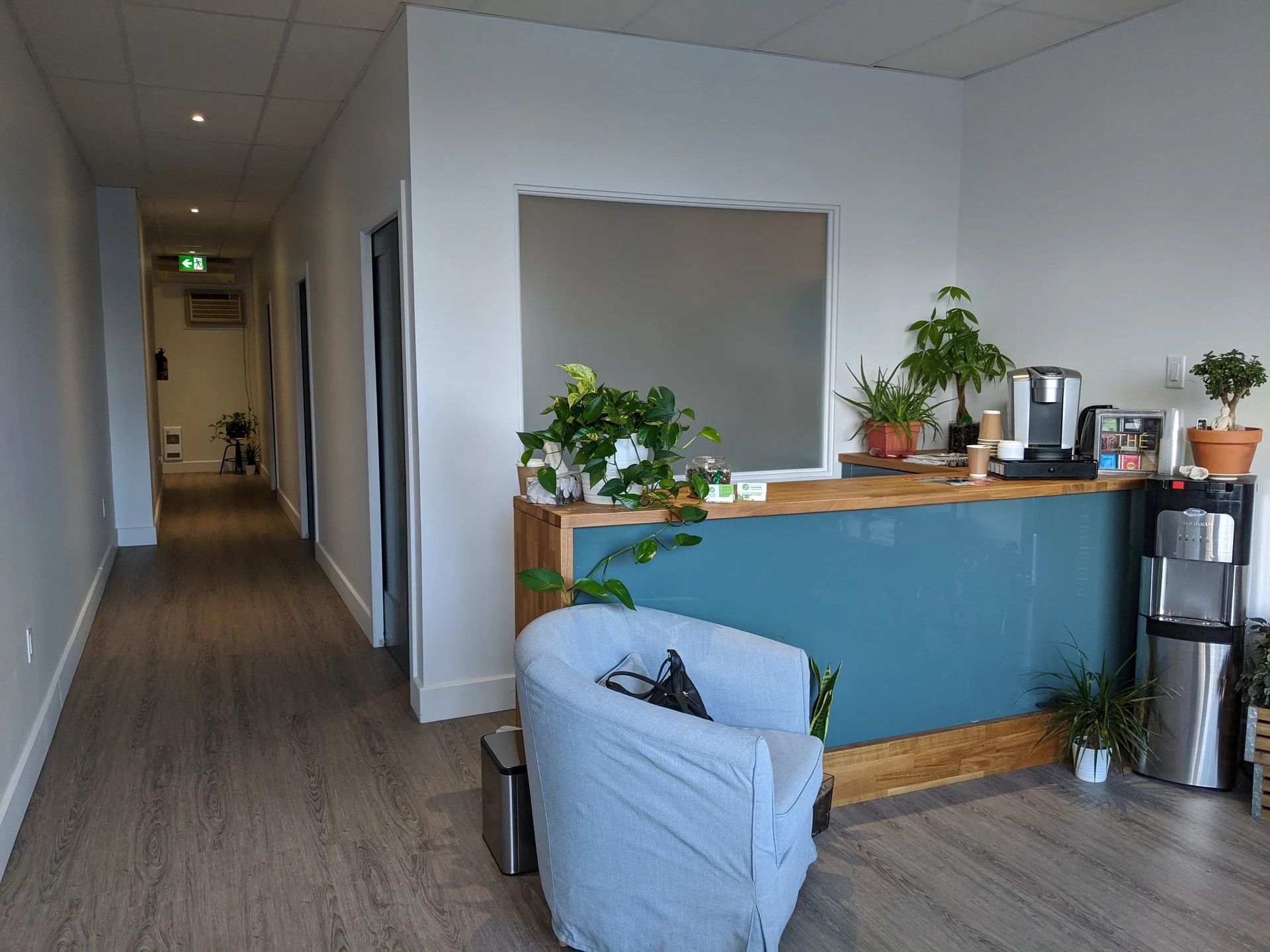Une salle d'attente avec un comptoir d'accueil bleu, un fauteuil gris confortable, plusieurs plantes en pot et un couloir en arrière-plan.