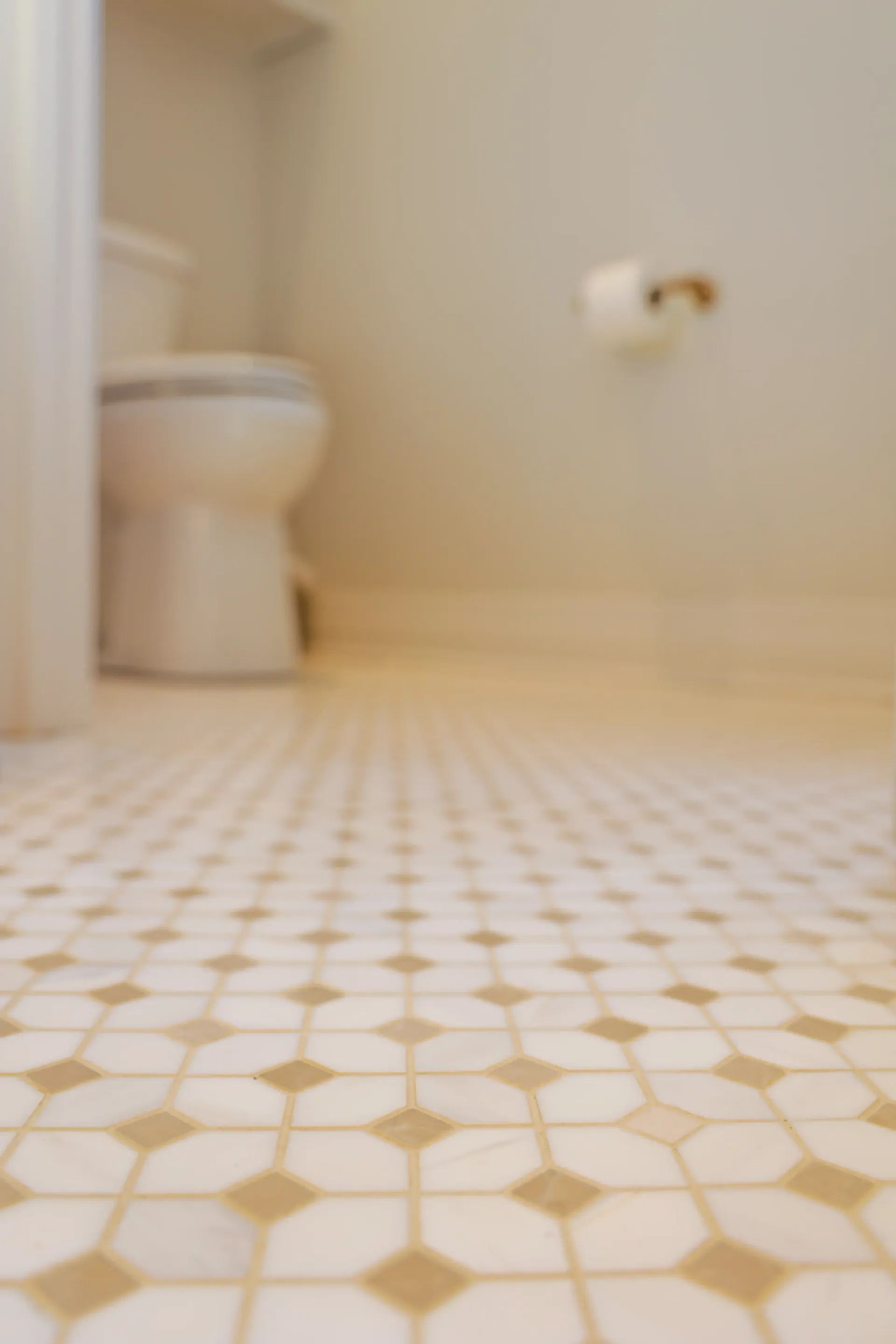 Bathroom floor with white-and-gold patterned tiles, a toilet, and toilet paper on the wall.