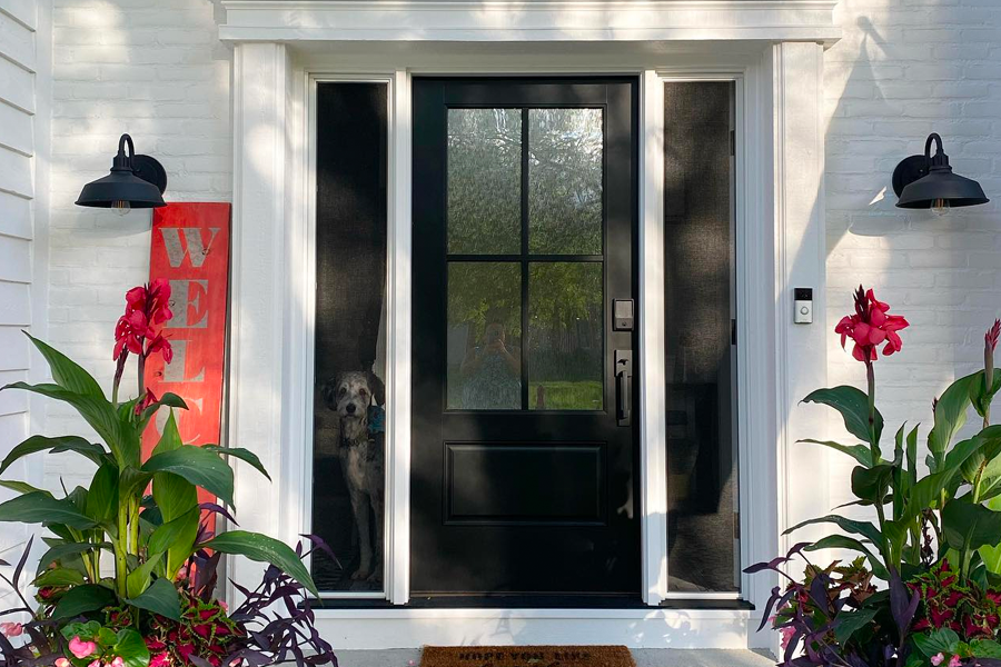 A dog is standing in front of a black door in a white house.
