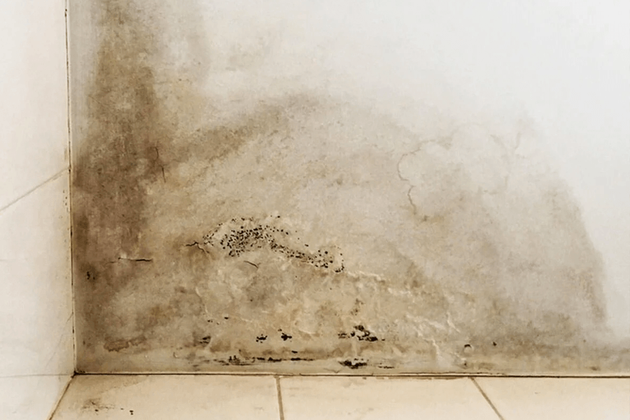 A corner of a bathroom wall with a lot of mould on it.