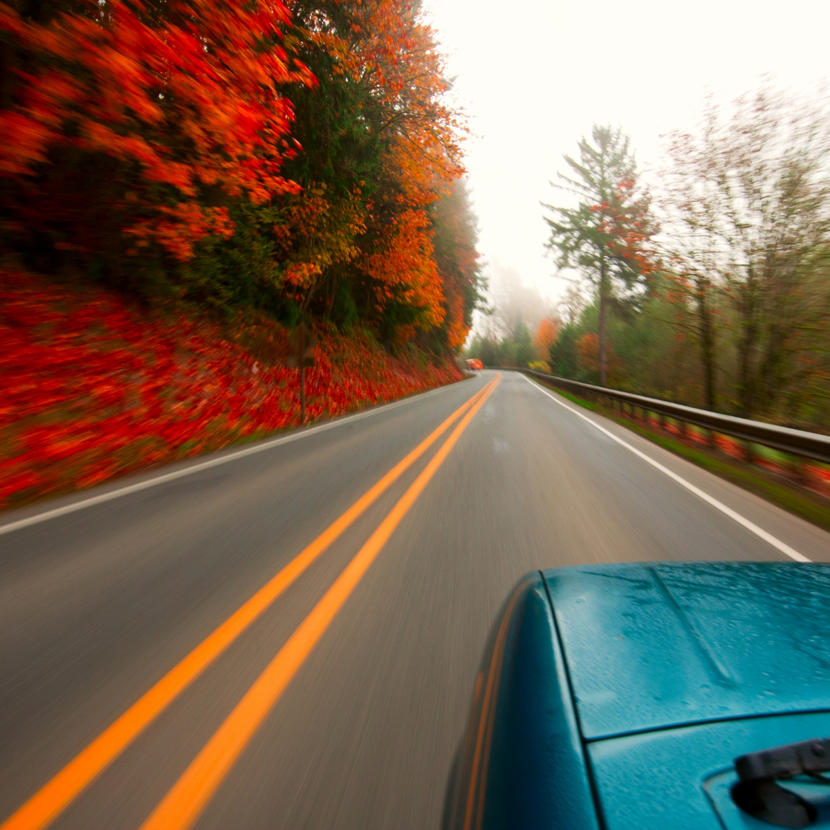 Curving wet road through autumn trees, viewed from a moving car with blue hood visible.