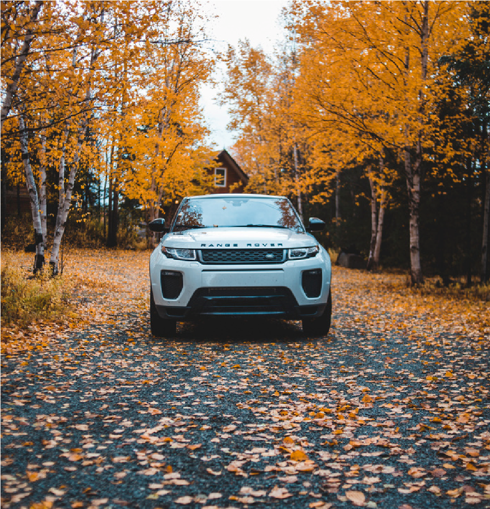 White SUV on a leaf-covered road in an autumn forest with orange trees