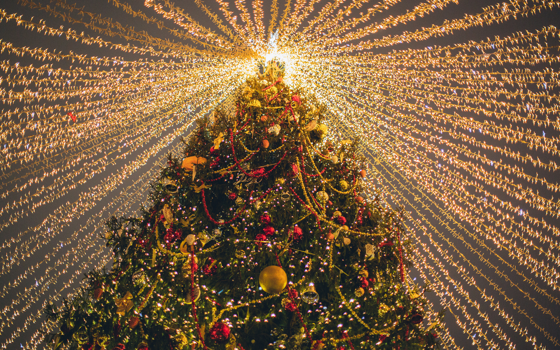 Decorated Christmas tree with warm white lights and gold ornaments radiating light