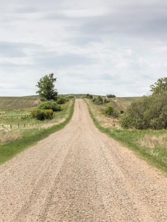 Gravel road stretching through open grassland under a cloudy sky