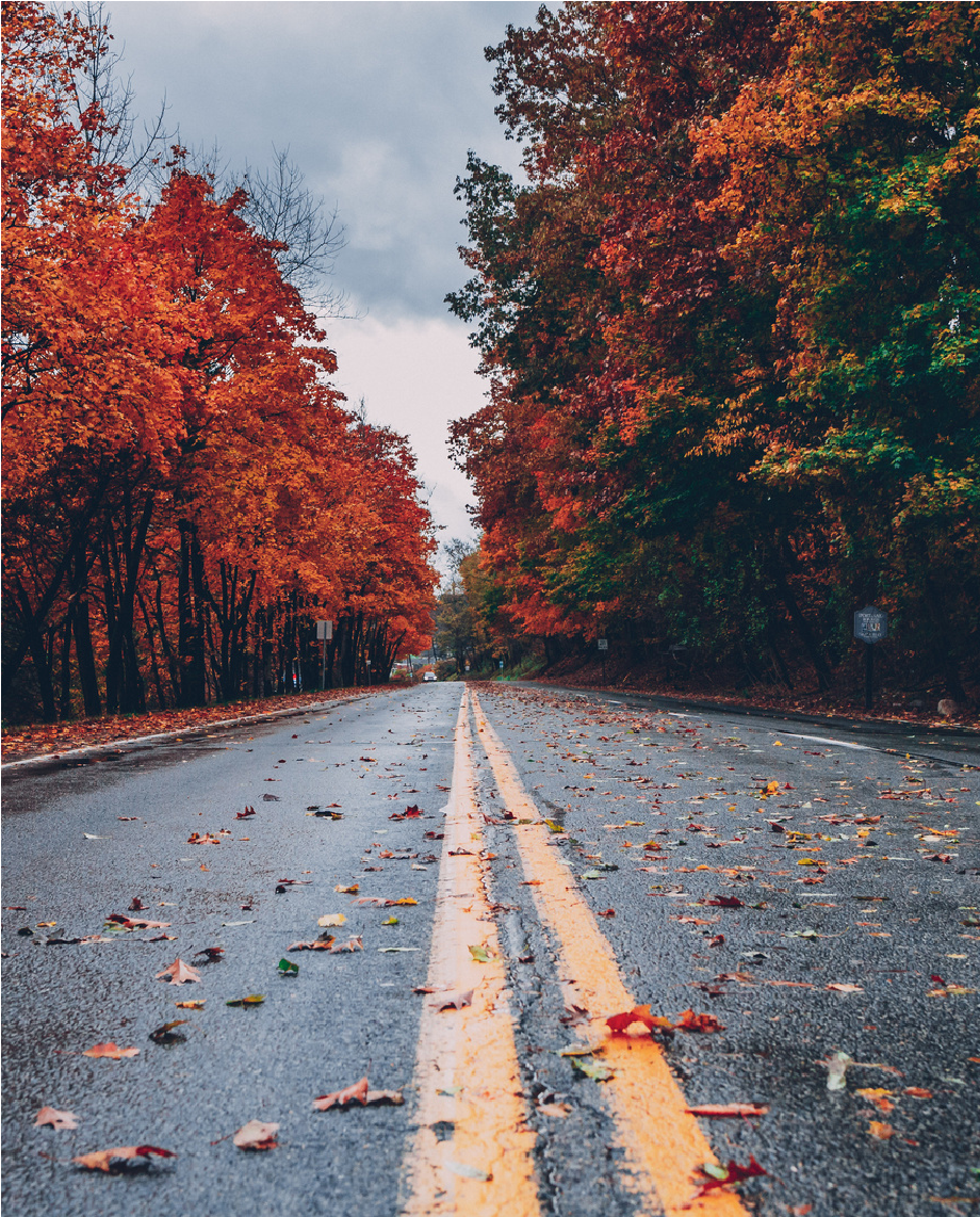 Empty road lined with vivid red autumn trees under a cloudy sky