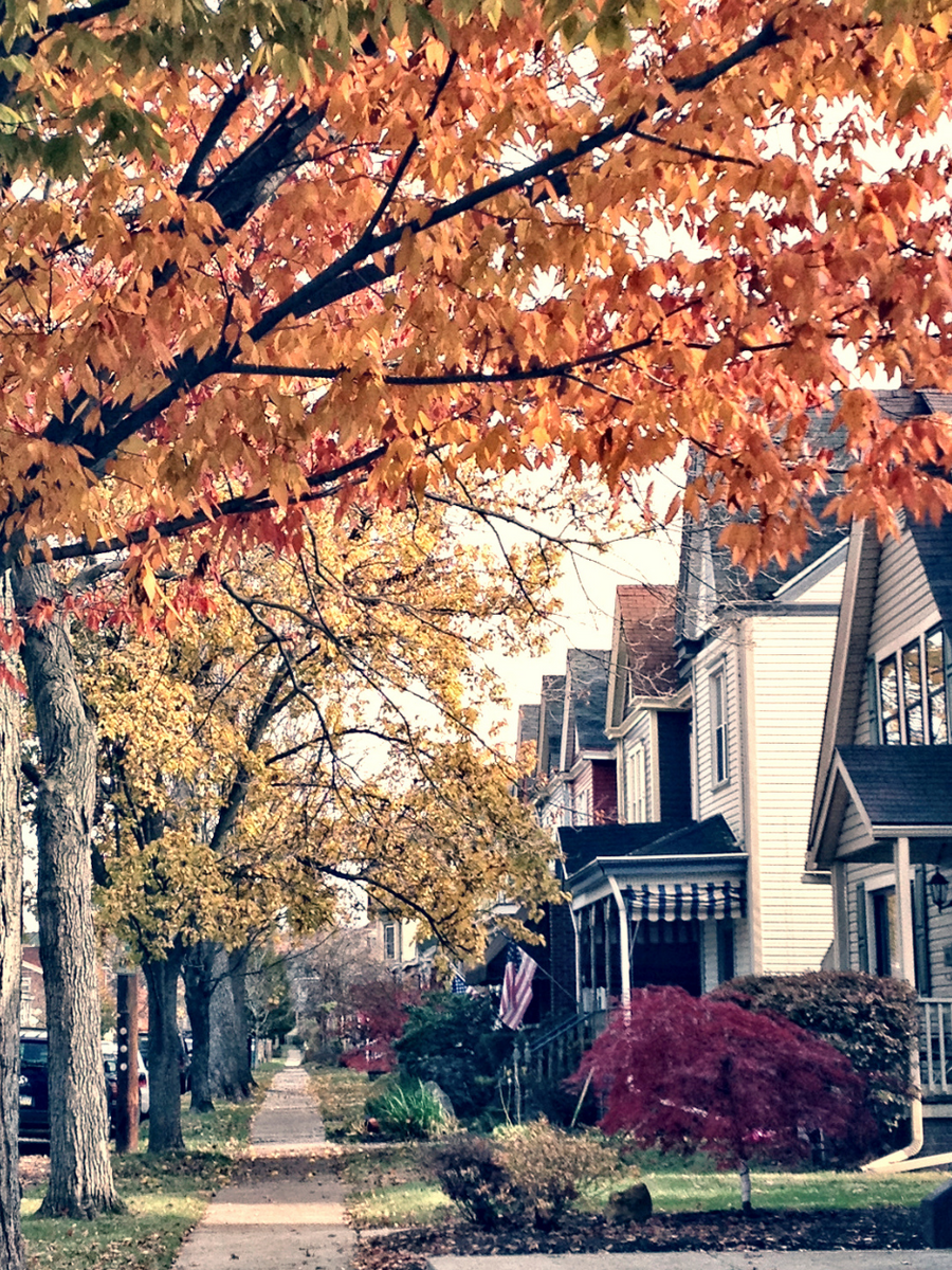 Autumn tree-lined suburban street with colorful leaves and houses along the sidewalk
