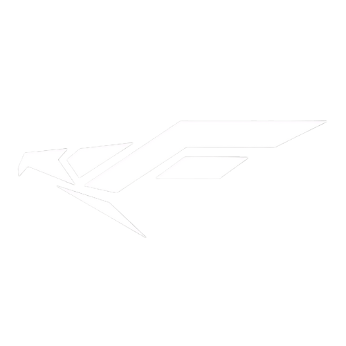Falconics Logo Bold White A white line drawing of a bird on a white background.
