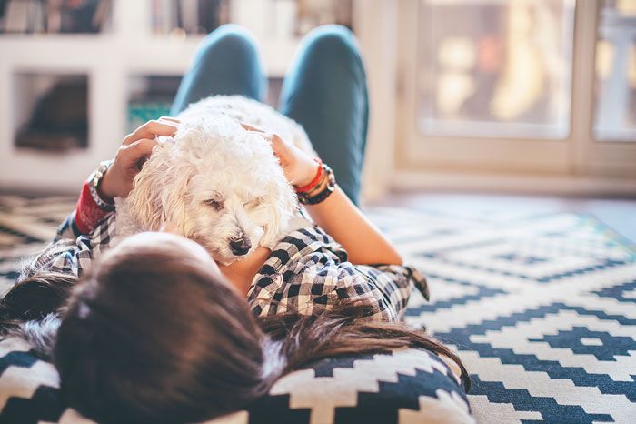 Woman on floor petting a white dog, both relaxed. Blue jeans, plaid shirt, geometric rug, cozy setting.