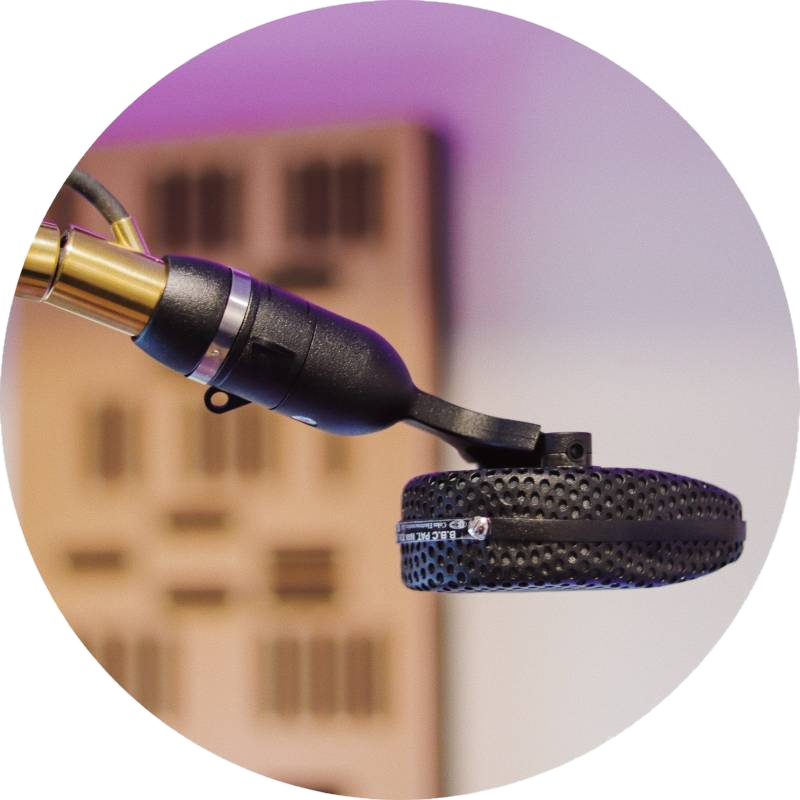 A black microphone with a gold connector, in front of a wooden sound-dampening panel.