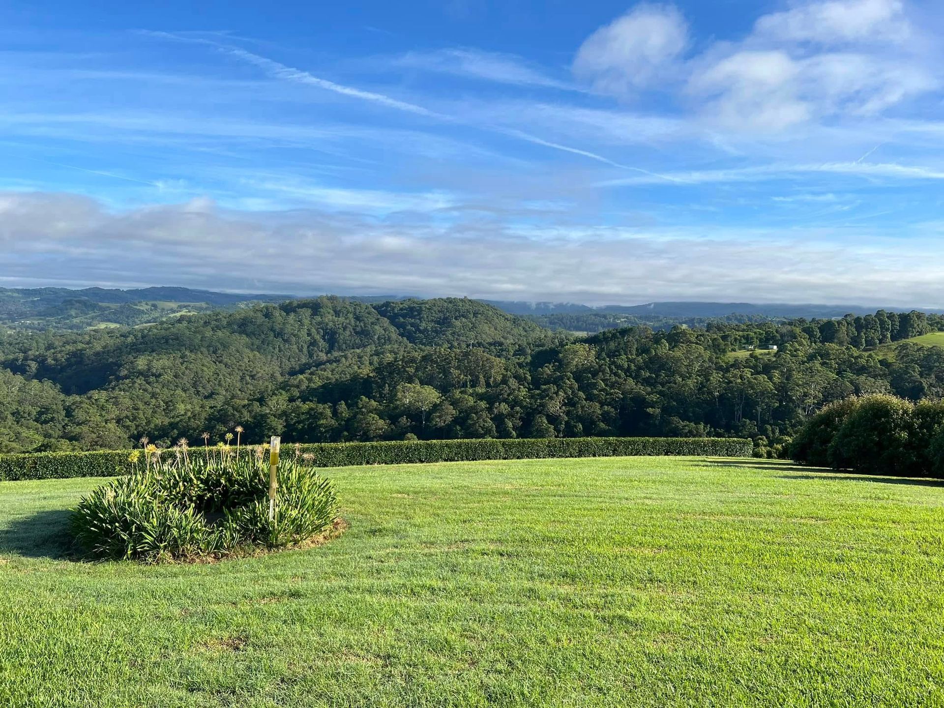 Sunny Green Meadow Overlooking Forested Hills Under a Blue — Northern Rivers Coaching and Counselling In Uki, NSW