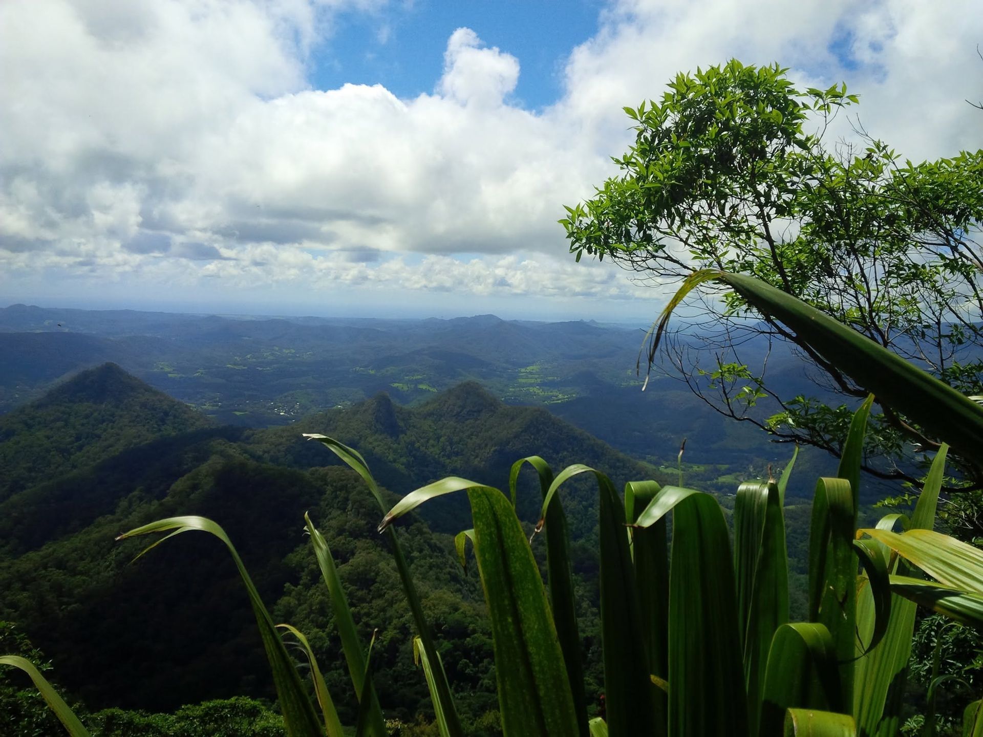 Lush Green Mountain Landscape Under a Cloudy Blue Sky — Northern Rivers Coaching and Counselling In Uki, NSW
