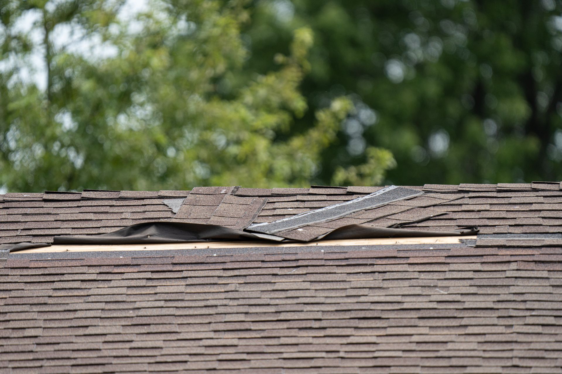 Damaged shingle roof with a large section lifted and torn