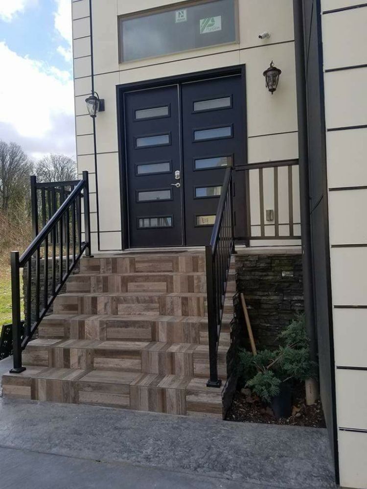 A beige house entrance with black double doors, a glass transom window, a tiled staircase with black railings, and a plant.