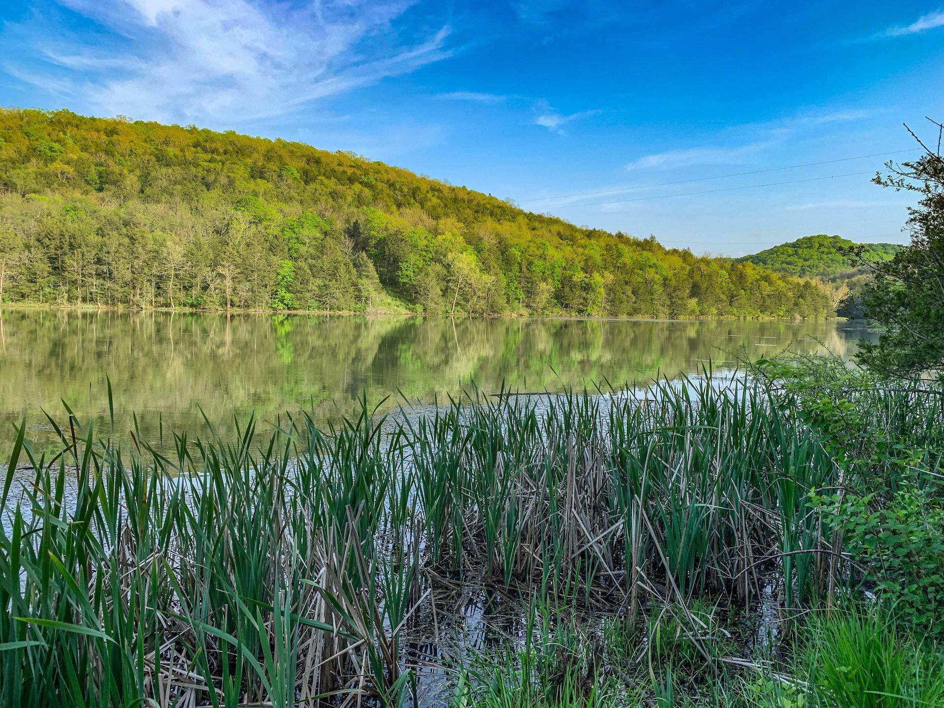 lake leatherwood