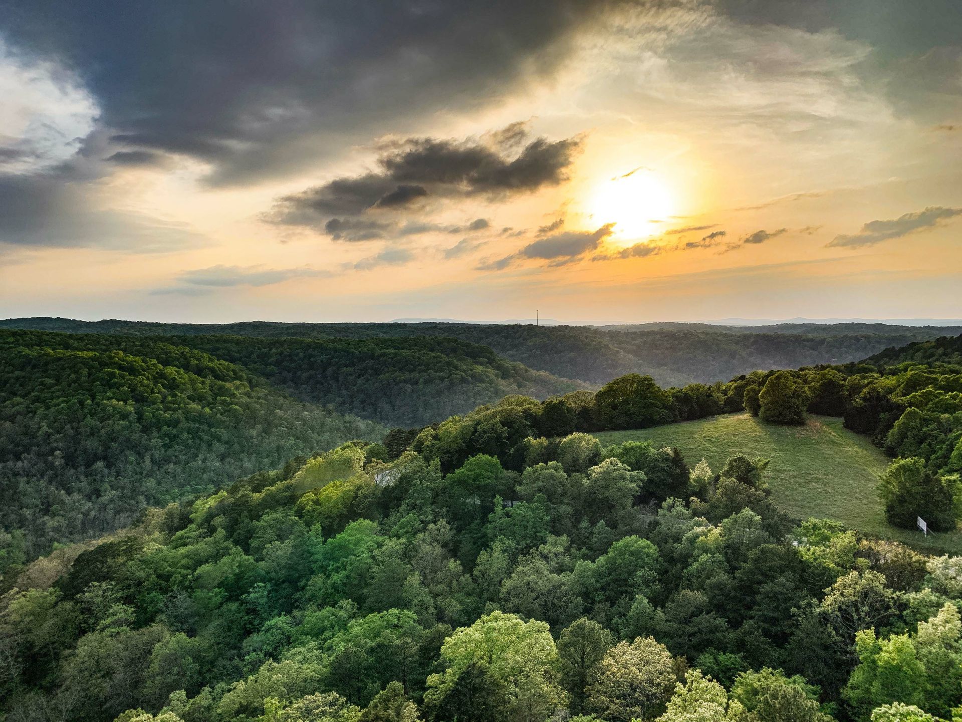 the sun is setting over a lush green forest .