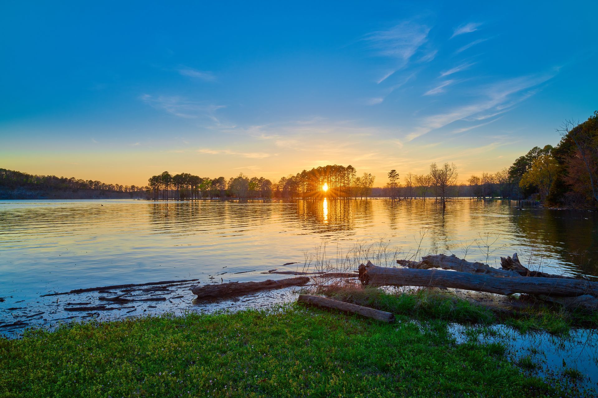 the sun is setting over a lake with logs in the water .
