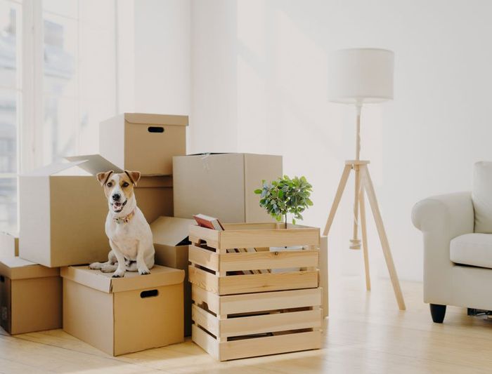 Moving Services — Australia — Australian Moving Logistics