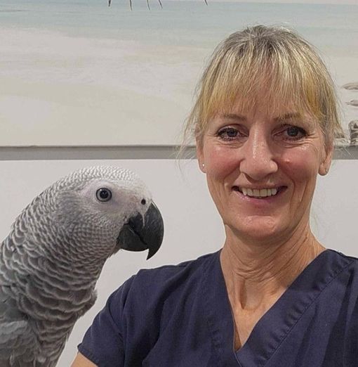 Dr Ingrid Huisman