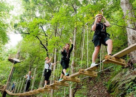 A group of people are walking across a wooden bridge in the woods.