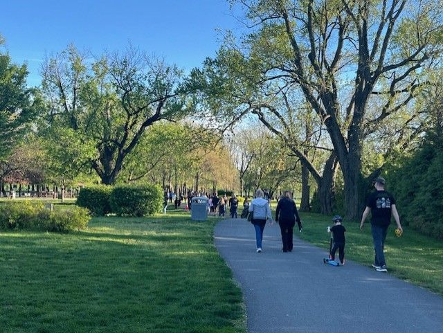 An aerial view of a group of people walking down a path.