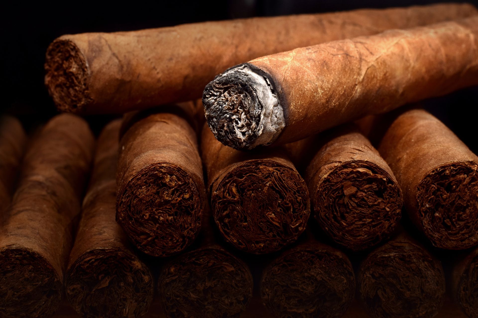Tobacco cuban havana cigars