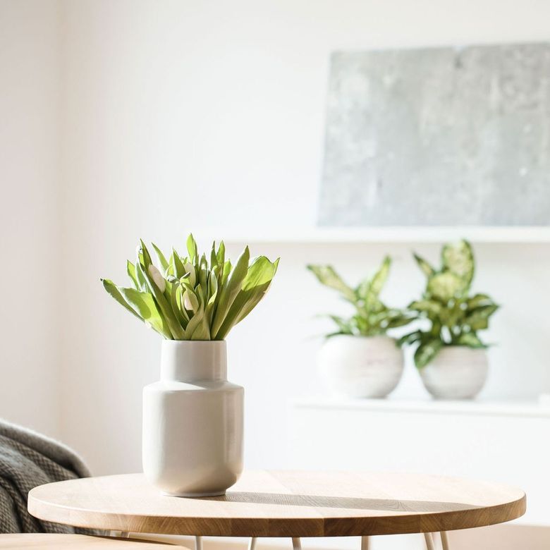 A potted plant is sitting on a wooden table in a living room.