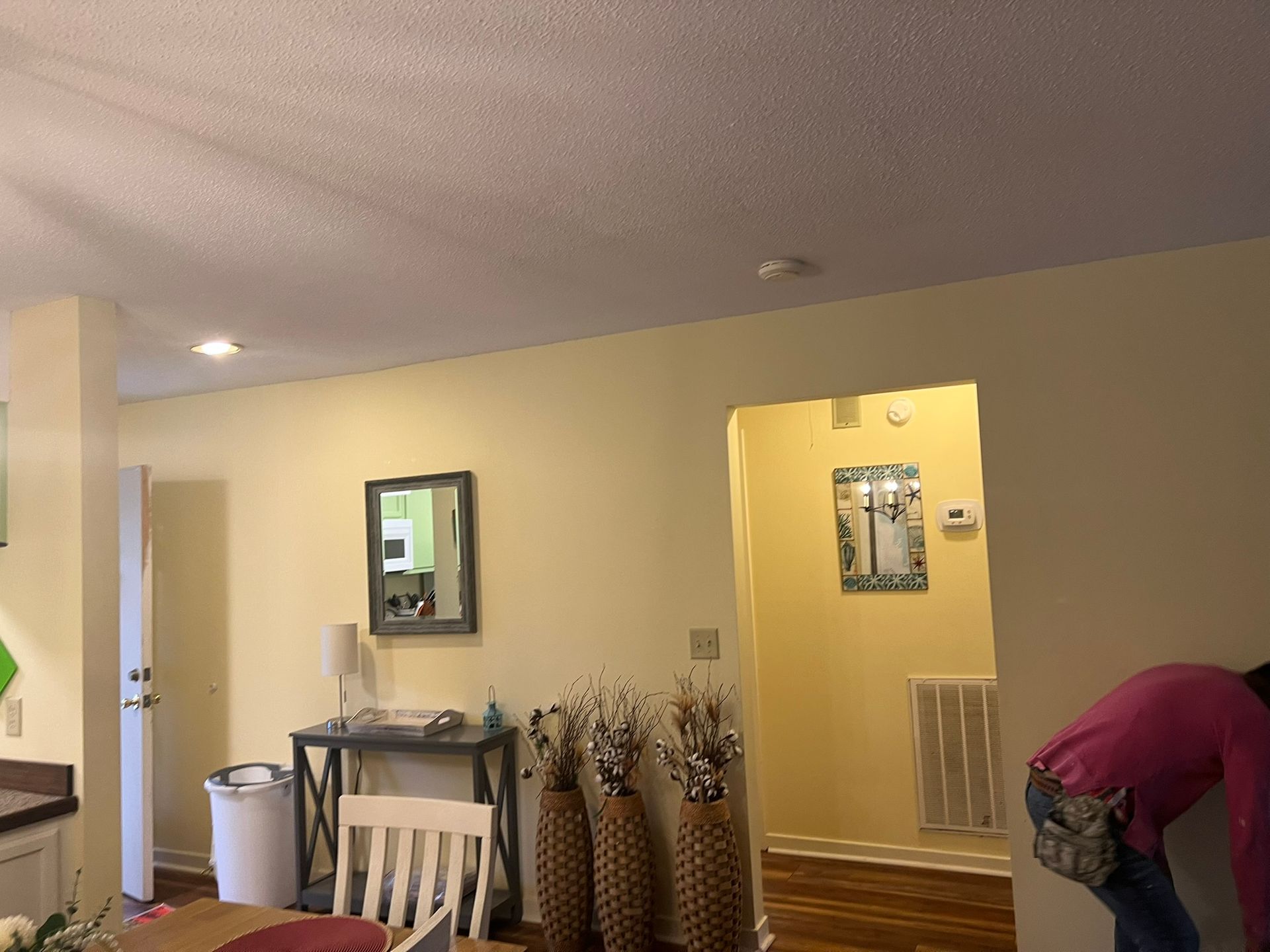 Interior view of a room with yellow walls, a doorway, and a person. A mirror and plants are visible.