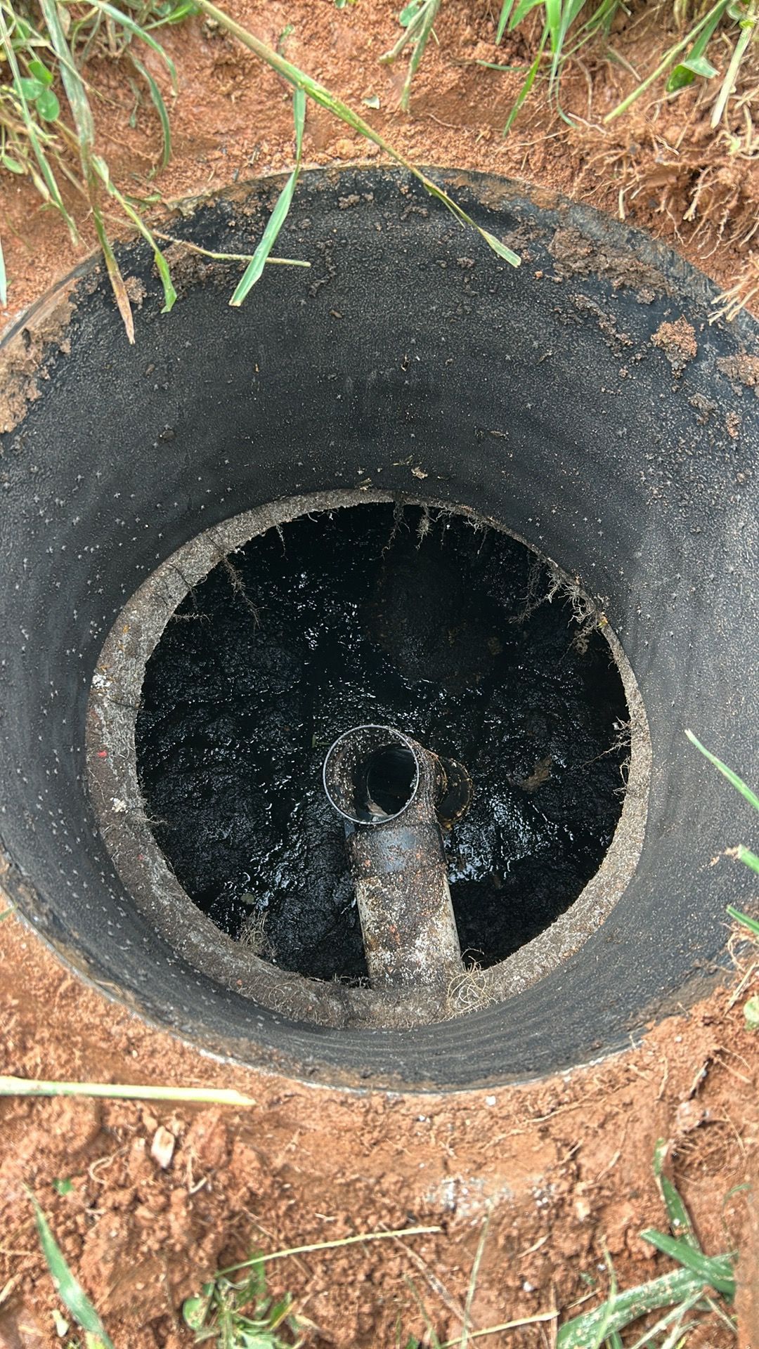 Black sprinkler head surrounded by dirt and grass.