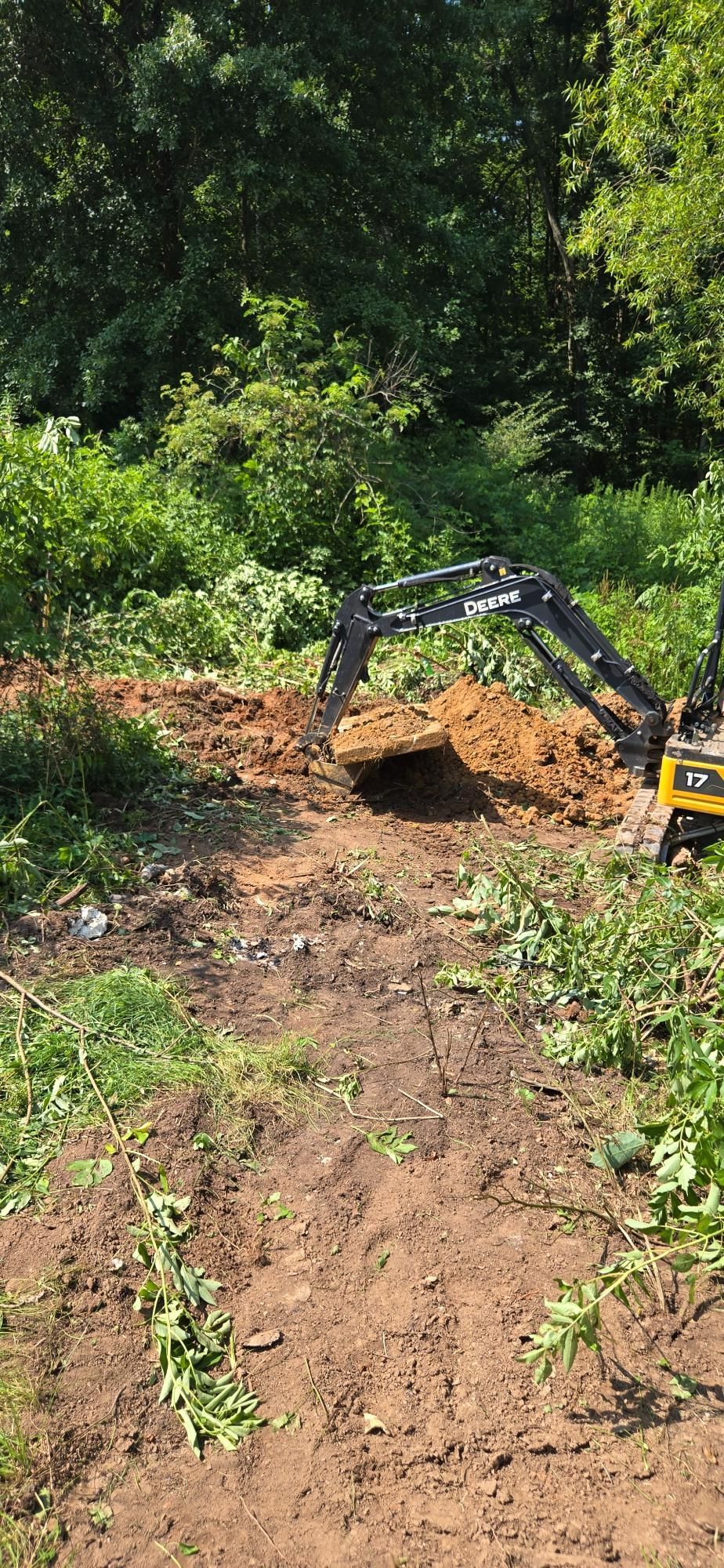 A small excavator digging in a dirt area, surrounded by grass and trees.