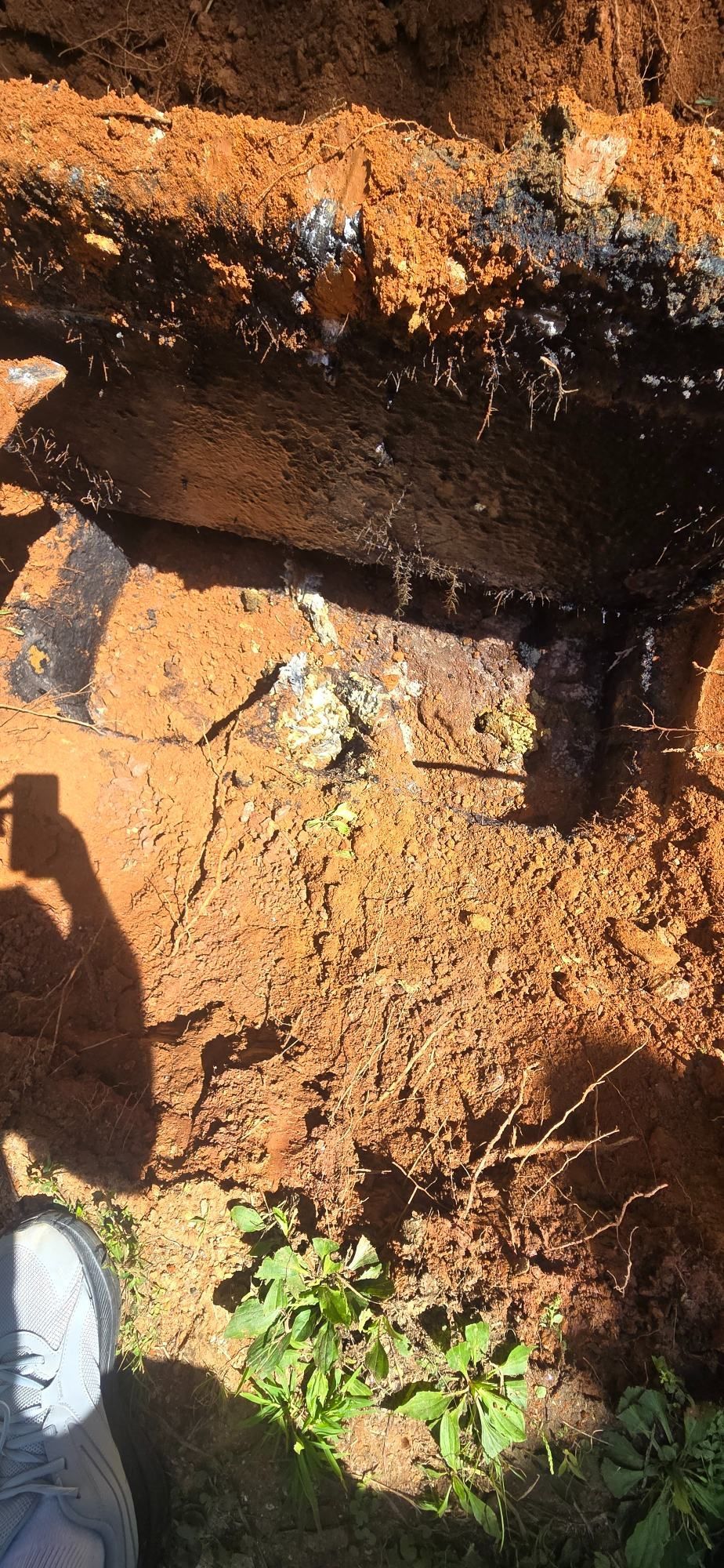 Close-up of a muddy soil cut with exposed roots, rocks, and a shoe at the lower left.