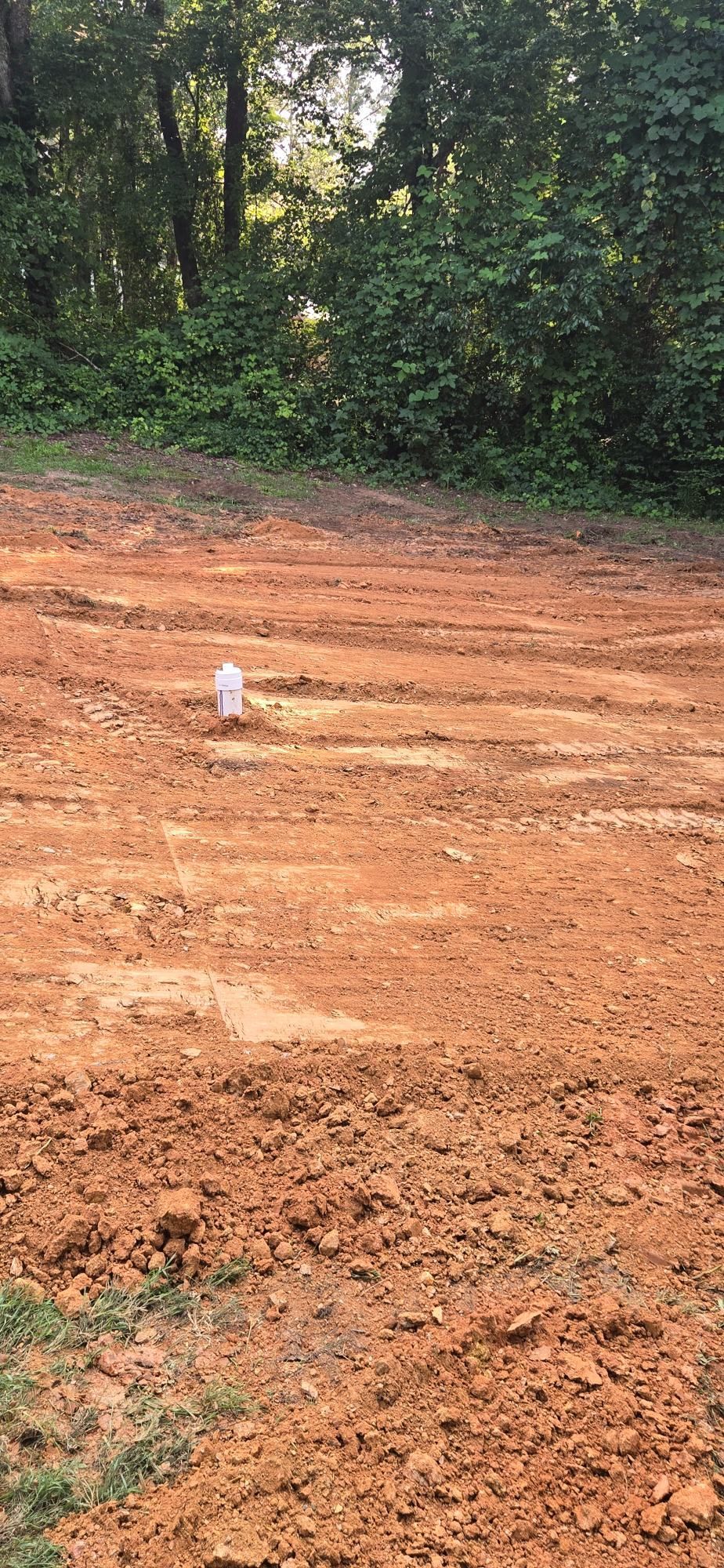 Dirt clearing beside dense green trees, with a small white object near the center