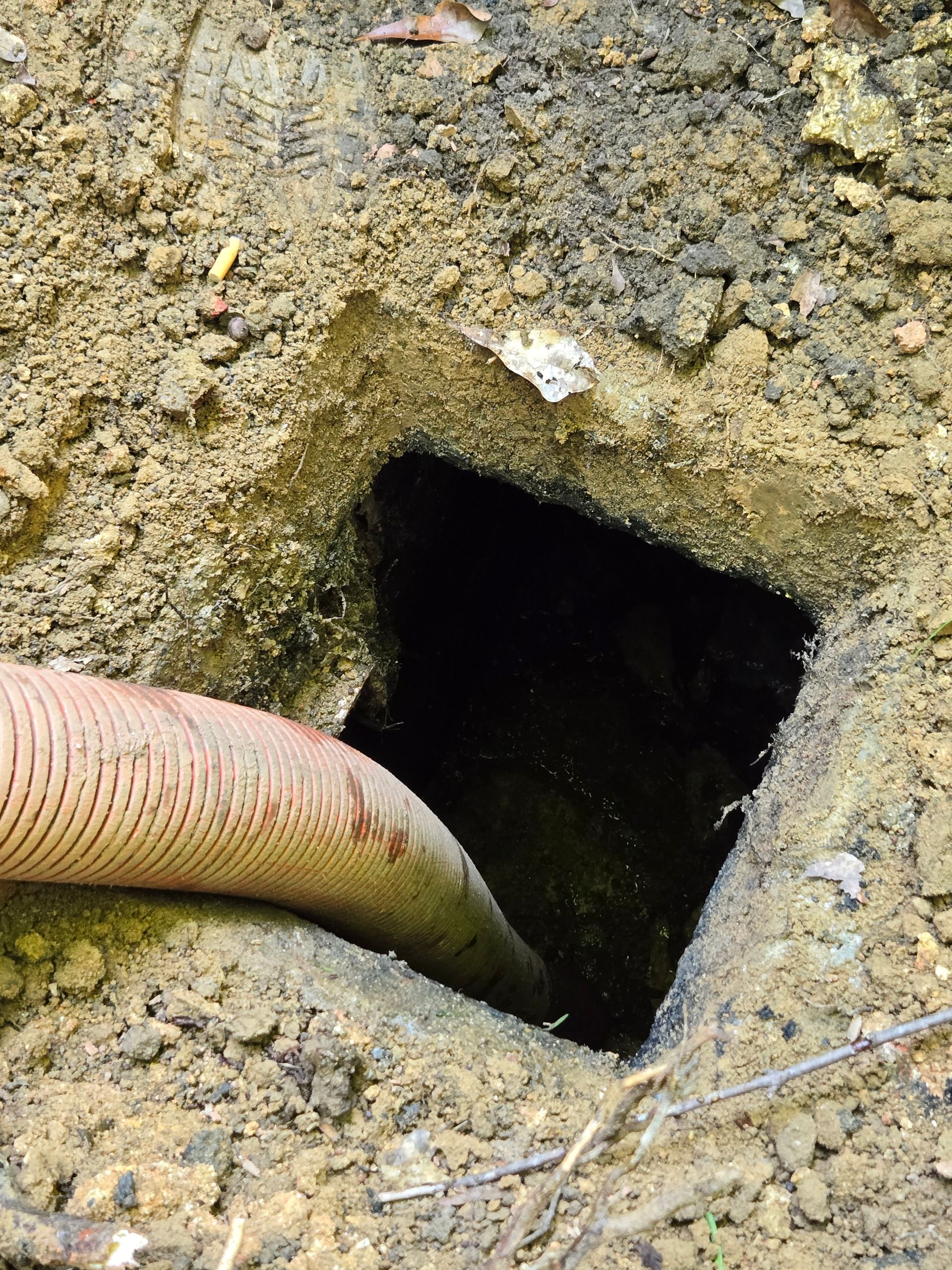 Hole dug in dirt with corrugated orange hose leading inside. Dark opening.