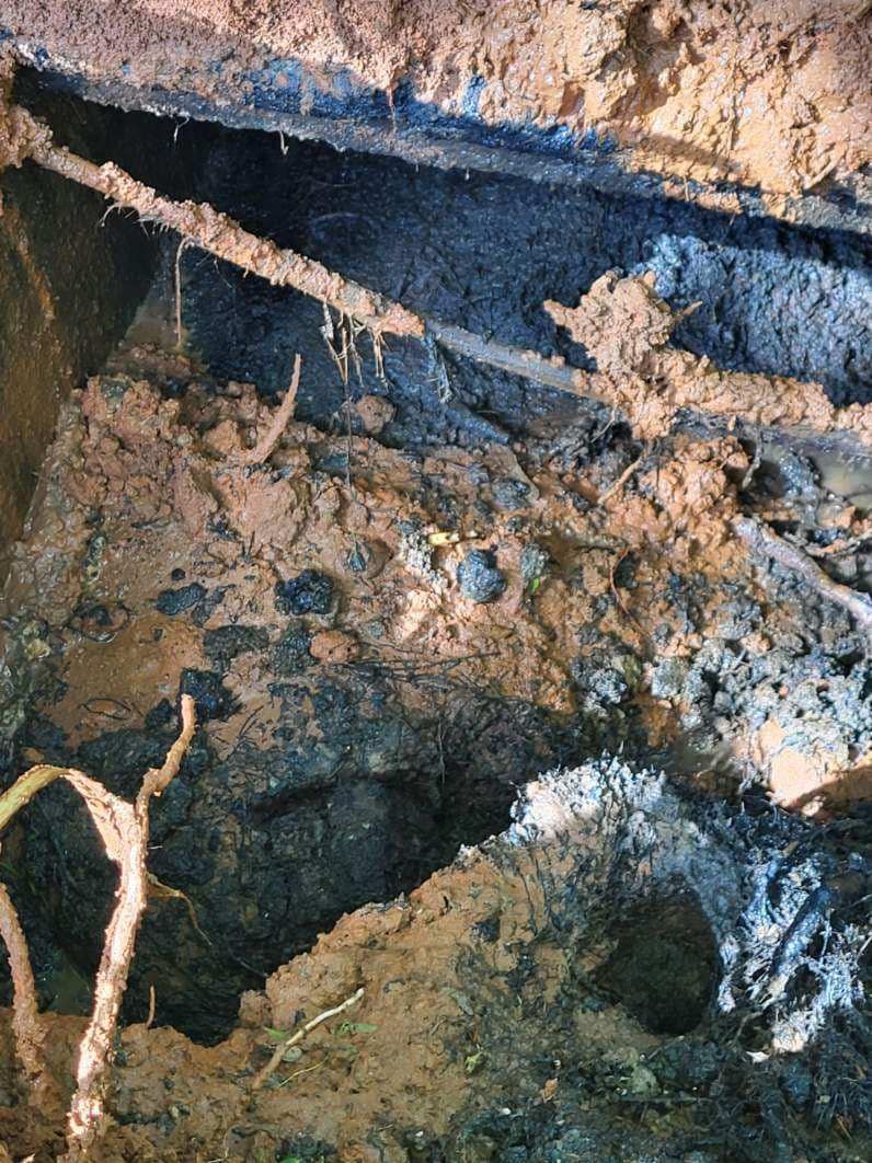 A dark, damp excavation reveals layers of soil and roots with a glimpse of a structure above.