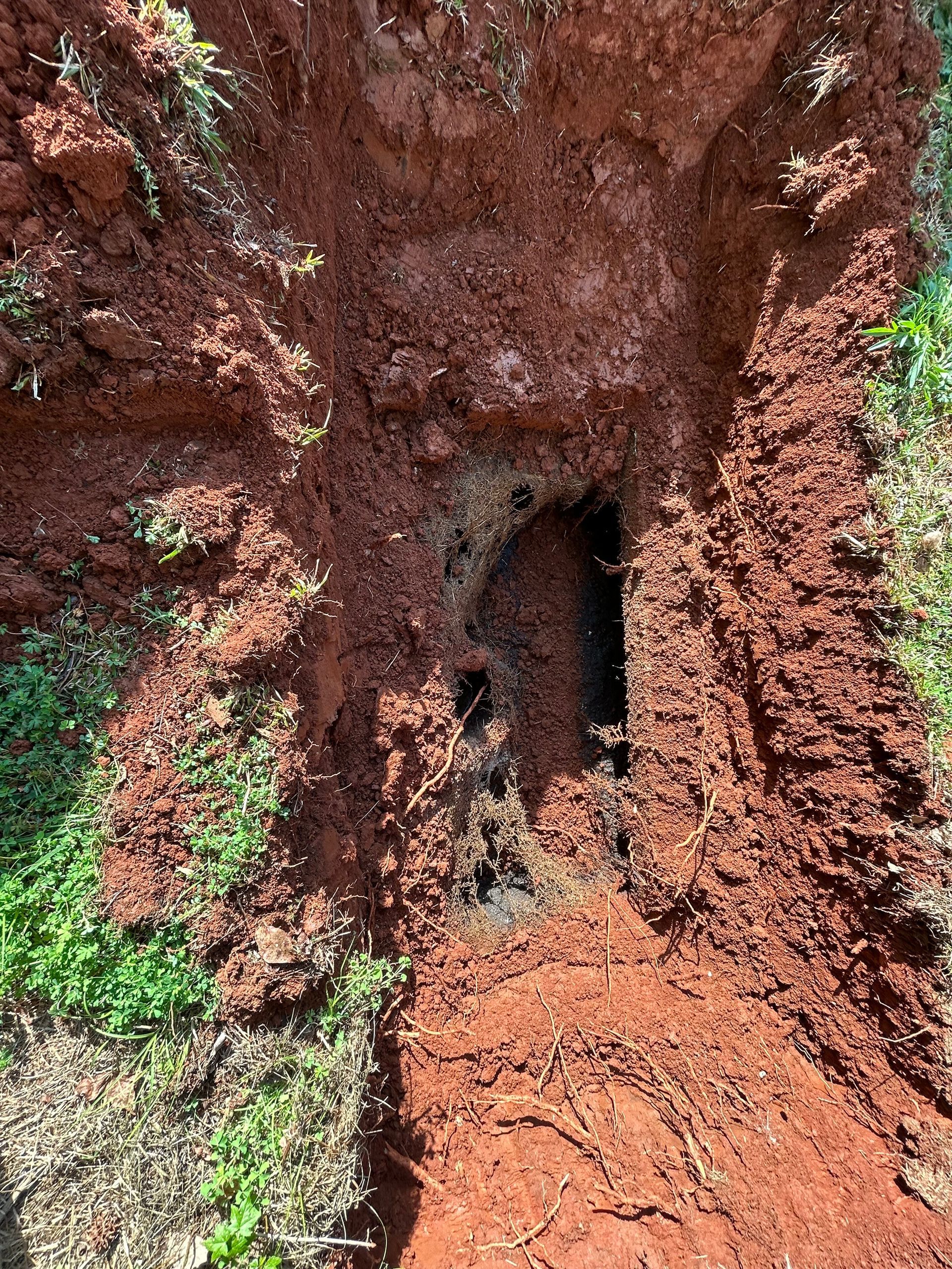 Excavation in red soil reveals dark pipe structure. Green grass surrounds the dug area.