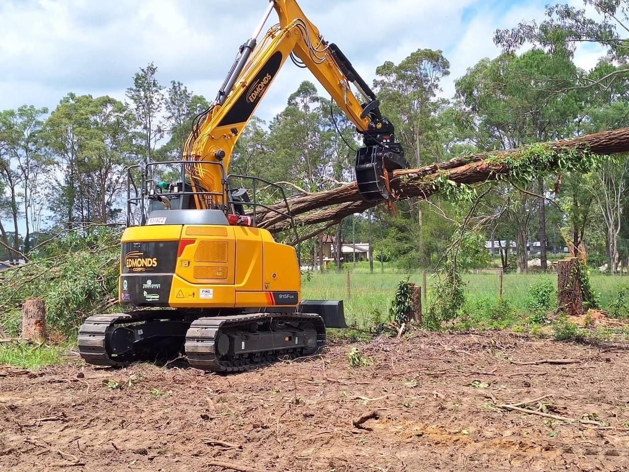 Edmonds Corp tree services team and equipment