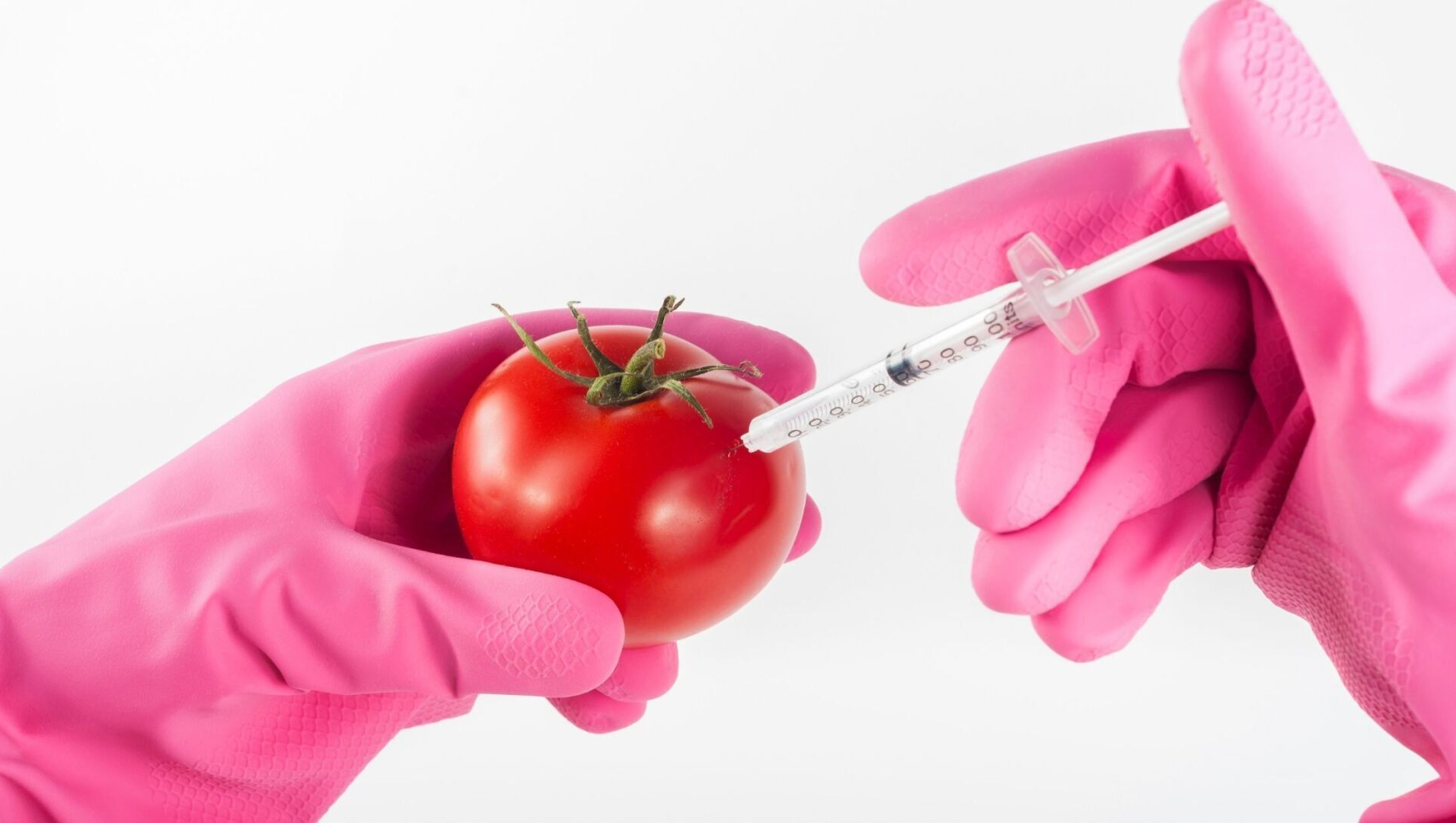 gmos, genetically modified foods