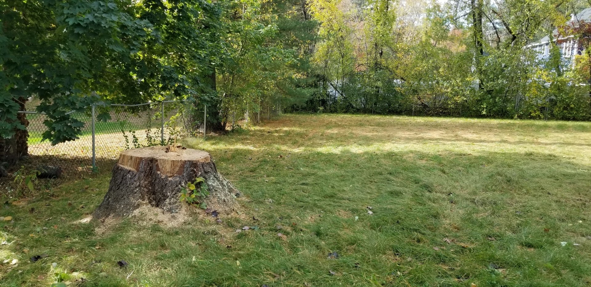 mosquito-spray-salem-nh-aspen-tree-service