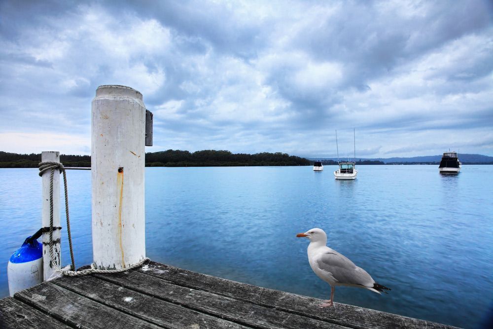 Cloudy Overcast Rainy Day At Kincumber Broadwaters — Restorative Natural Therapies in Kincumber, NSW Cloudy Overcast Rainy Day At Kincumber Broadwaters — Restorative Natural Therapies in Kincumber, NSW