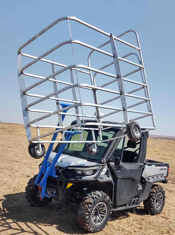safety  zone vs fast catch calf catcher