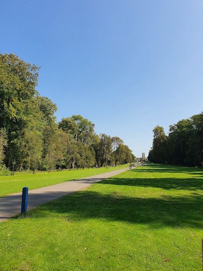 Sunny park path between green lawns and trees under a clear blue sky