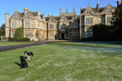 Two dogs on a lawn in front of a large stone mansion